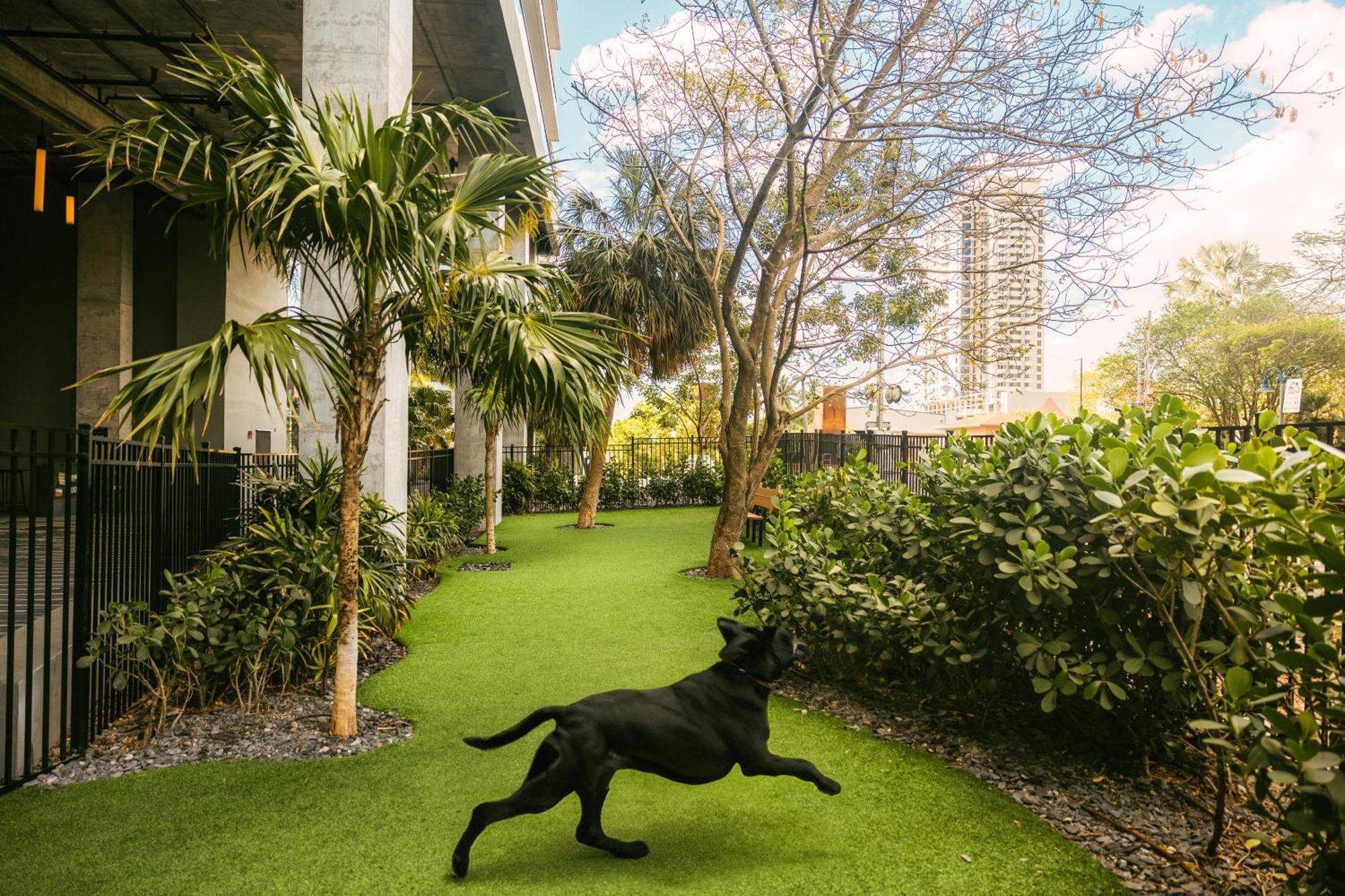 Sonder at Riverwalk Fort Lauderdale Exterior foto